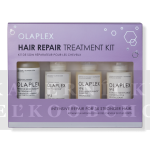 Olaplex Hair Repair Treatment Kit