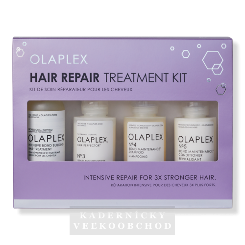 Olaplex Hair Repair Treatment Kit