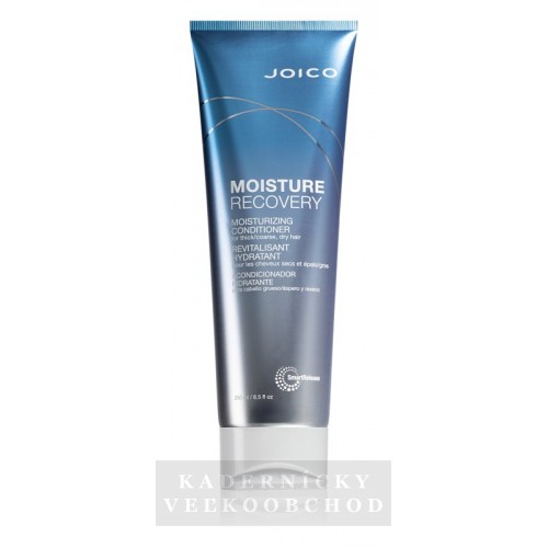 Joico Moisture Recovery hydratačný KONDICIONÉR 250