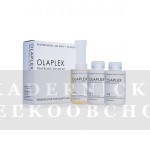 Olaplex Traveling Stylist Kit